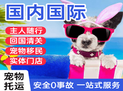 新桥航空快运国际宠物托运 【国
